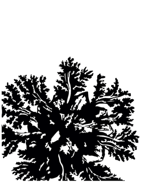 Image en noir et blanc  pour illustrer le spectacle de Nosfell. Dessin de Elamine Maecha